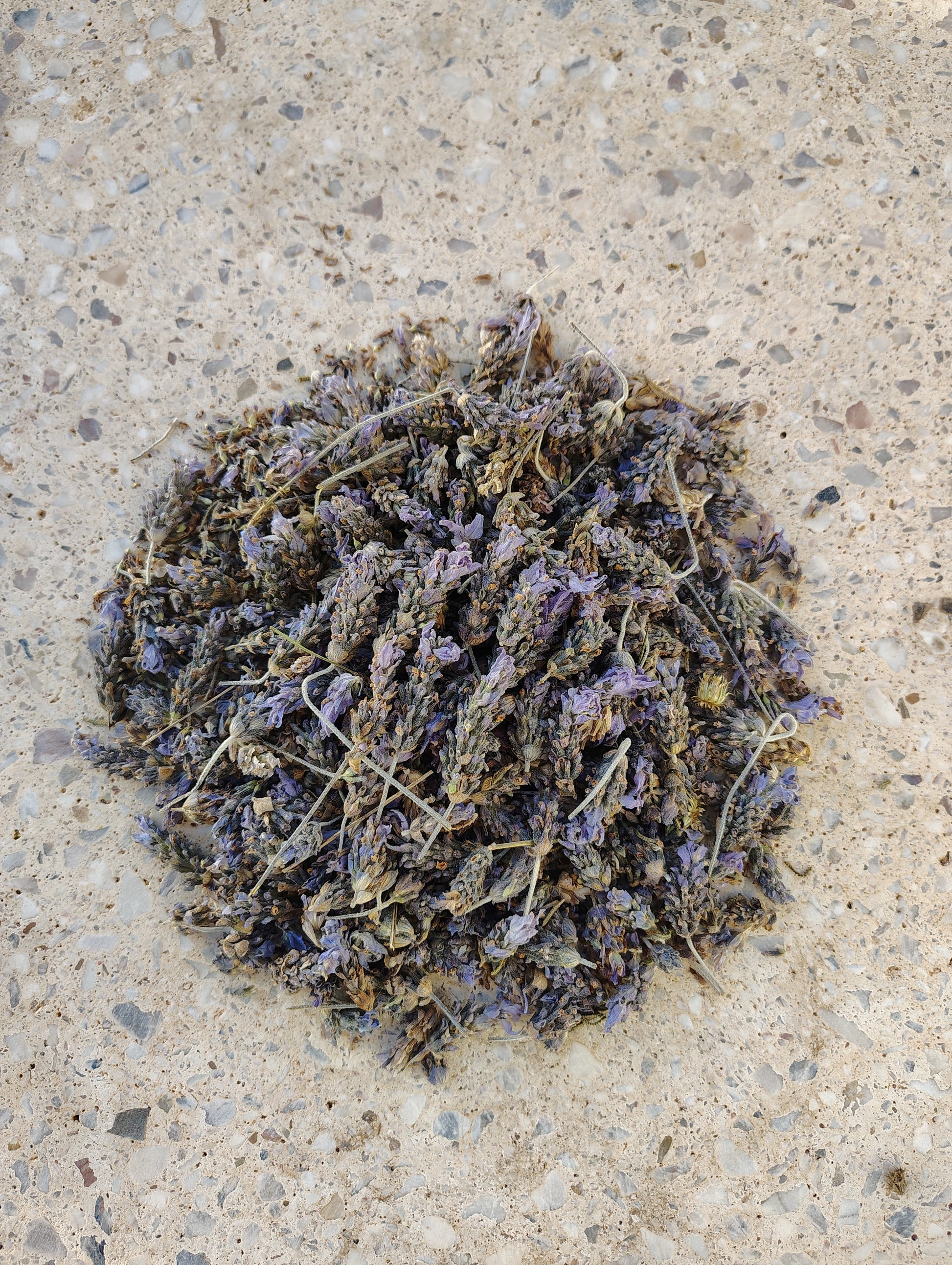 Lavender dried 